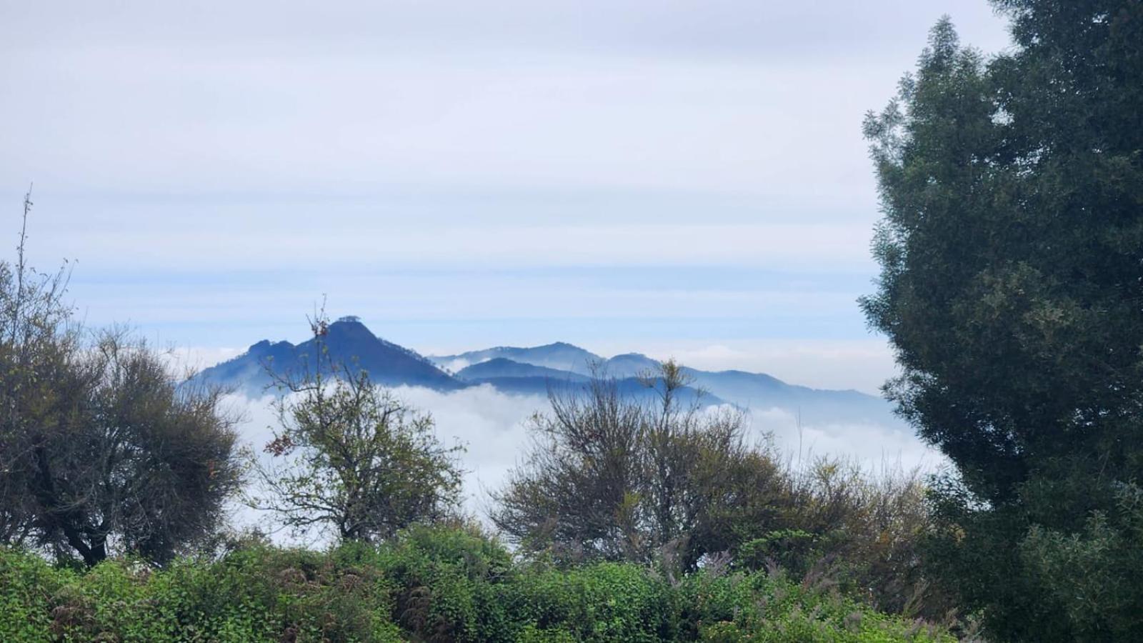 Fabhotel Tranquil Heights Kodaikanal Zewnętrze zdjęcie
